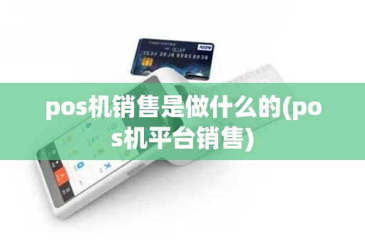 pos机销售是做什么的(pos机平台销售)