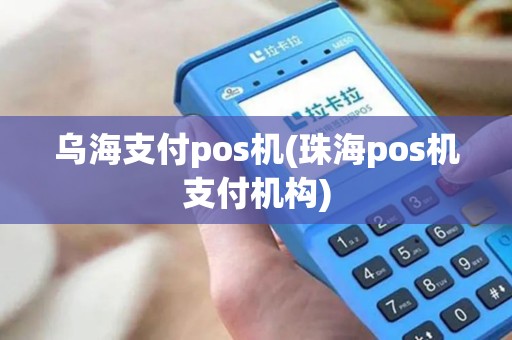 乌海支付pos机(珠海pos机支付机构)