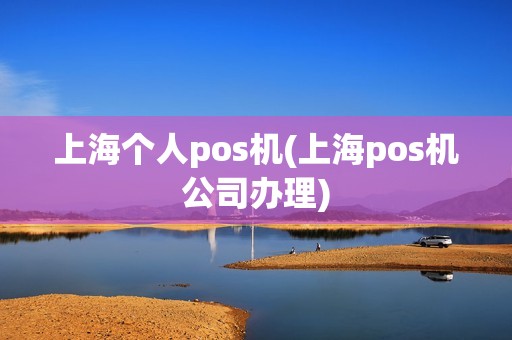 上海个人pos机(上海pos机公司办理)