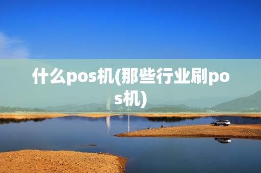 什么pos机(那些行业刷pos机)