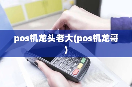 pos机龙头老大(pos机龙哥)