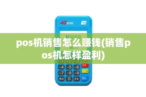 pos机销售怎么赚钱(销售pos机怎样盈利)
