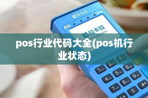 pos行业代码大全(pos机行业状态)