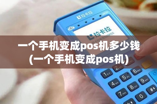 一个手机变成pos机多少钱(一个手机变成pos机)