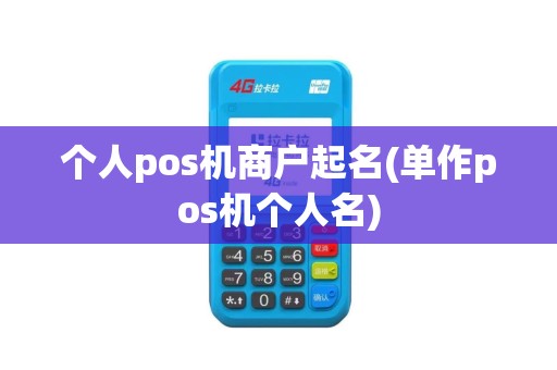 个人pos机商户起名(单作pos机个人名)