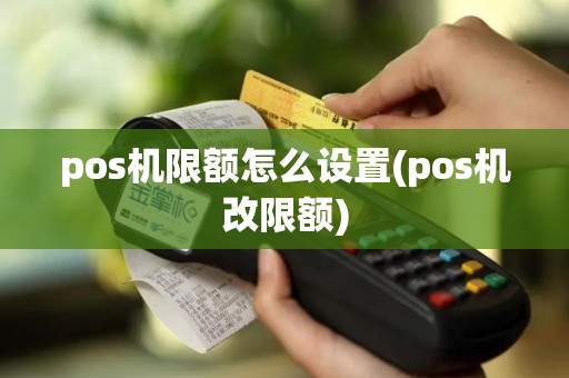 pos机限额怎么设置(pos机改限额)