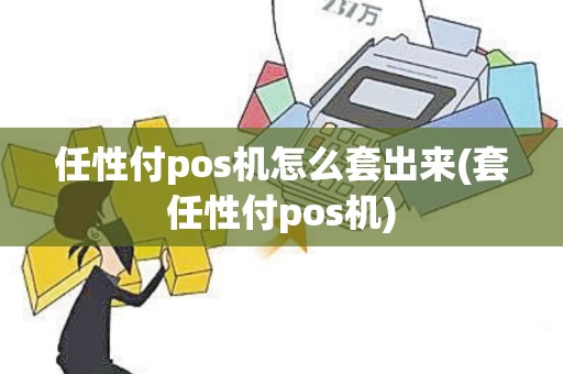 任性付pos机怎么套出来(套任性付pos机)