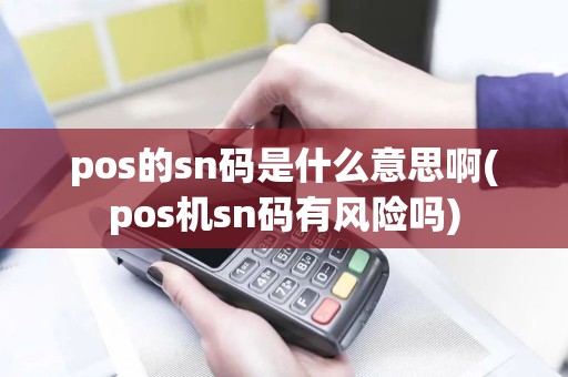 pos的sn码是什么意思啊(pos机sn码有风险吗)