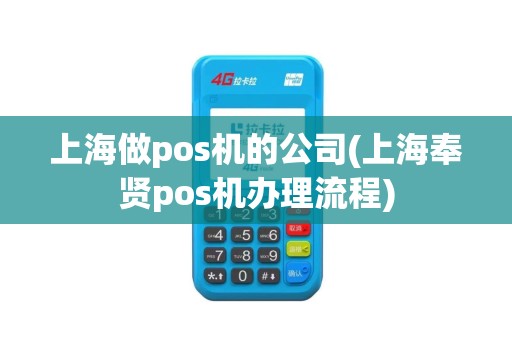 上海做pos机的公司(上海奉贤pos机办理流程)