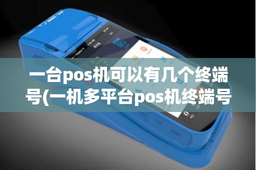 一台pos机可以有几个终端号(一机多平台pos机终端号)
