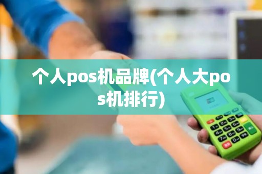 个人pos机品牌(个人大pos机排行)