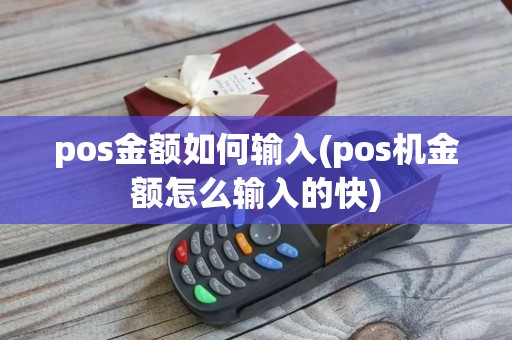 pos金额如何输入(pos机金额怎么输入的快)