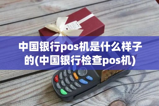 中国银行pos机是什么样子的(中国银行检查pos机)