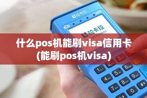 什么pos机能刷visa信用卡(能刷pos机visa)