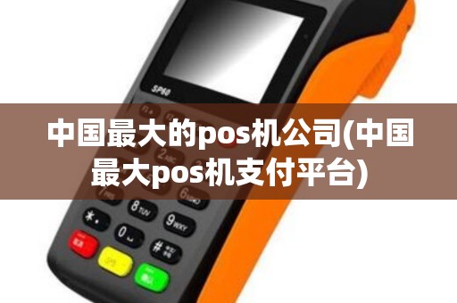 中国最大的pos机公司(中国最大pos机支付平台)