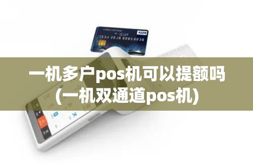 一机多户pos机可以提额吗(一机双通道pos机)
