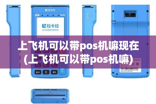 上飞机可以带pos机嘛现在(上飞机可以带pos机嘛)
