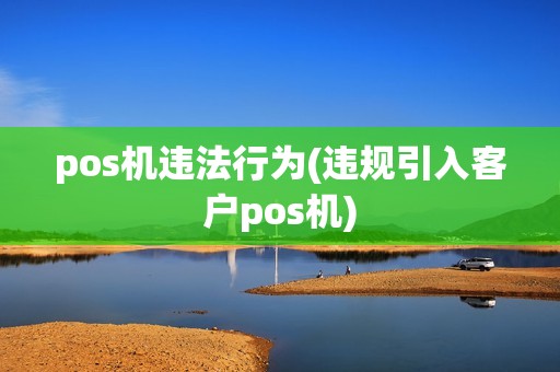 pos机违法行为(违规引入客户pos机)