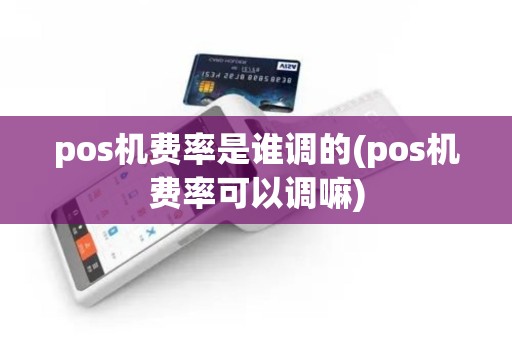 pos机费率是谁调的(pos机费率可以调嘛)