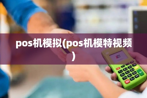 pos机模拟(pos机模特视频)