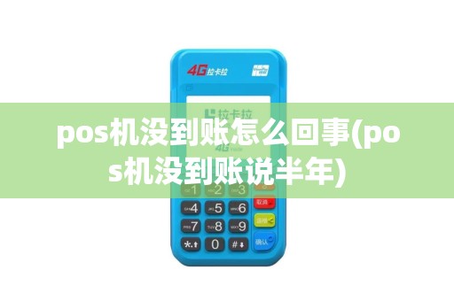 pos机没到账怎么回事(pos机没到账说半年)