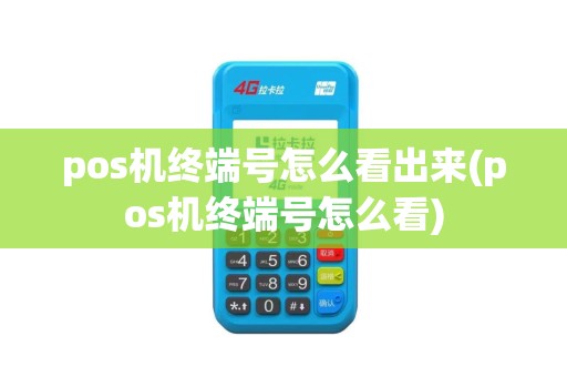 pos机终端号怎么看出来(pos机终端号怎么看)