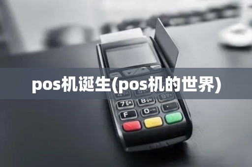 pos机诞生(pos机的世界)