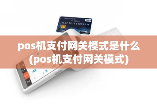 pos机支付网关模式是什么(pos机支付网关模式)