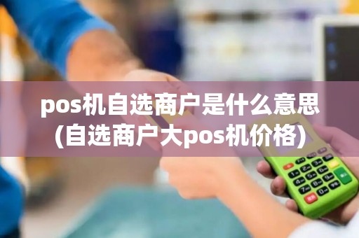 pos机自选商户是什么意思(自选商户大pos机价格)