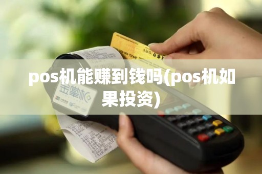 pos机能赚到钱吗(pos机如果投资)