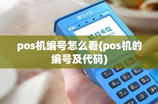 pos机编号怎么看(pos机的编号及代码)
