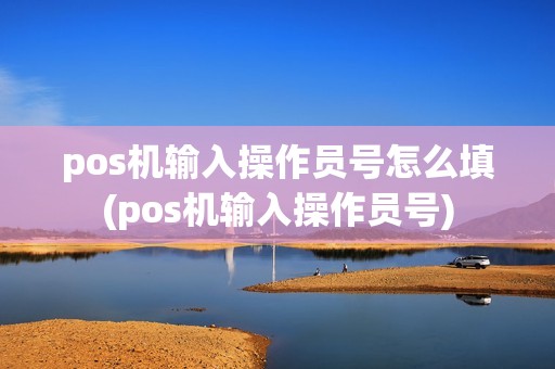 pos机输入操作员号怎么填(pos机输入操作员号)