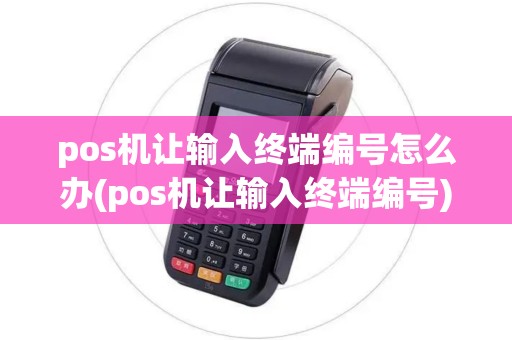 pos机让输入终端编号怎么办(pos机让输入终端编号)