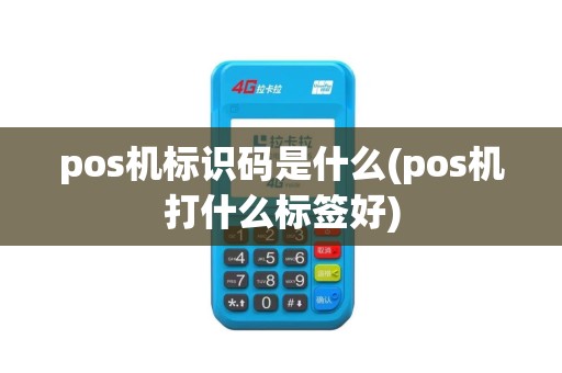 pos机标识码是什么(pos机打什么标签好)