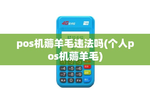 pos机薅羊毛违法吗(个人pos机薅羊毛)