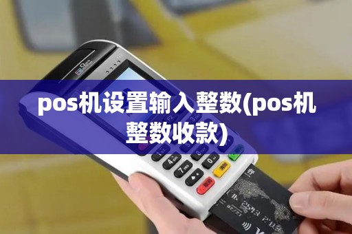 pos机设置输入整数(pos机整数收款)