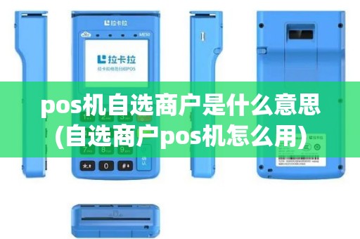 pos机自选商户是什么意思(自选商户pos机怎么用)