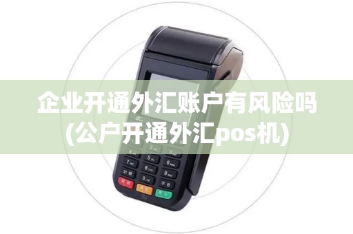 企业开通外汇账户有风险吗(公户开通外汇pos机)