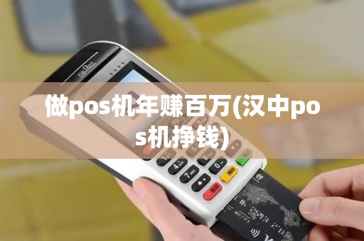 做pos机年赚百万(汉中pos机挣钱)