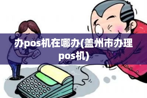 办pos机在哪办(盖州市办理pos机)