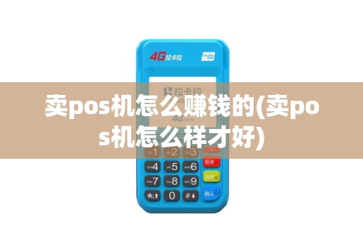 卖pos机怎么赚钱的(卖pos机怎么样才好)