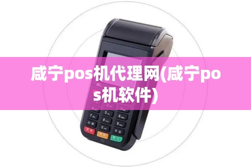 咸宁pos机代理网(咸宁pos机软件)