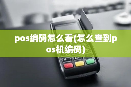 pos编码怎么看(怎么查到pos机编码)