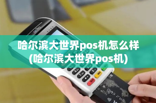 哈尔滨大世界pos机怎么样(哈尔滨大世界pos机)