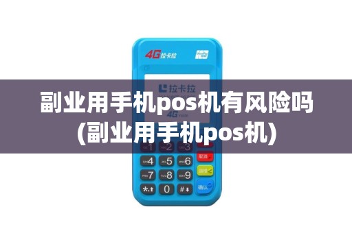 副业用手机pos机有风险吗(副业用手机pos机)