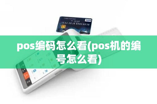 pos编码怎么看(pos机的编号怎么看)