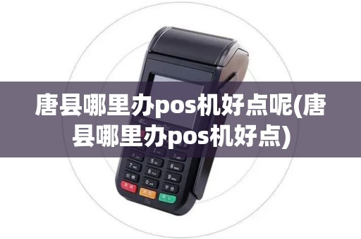 唐县哪里办pos机好点呢(唐县哪里办pos机好点)