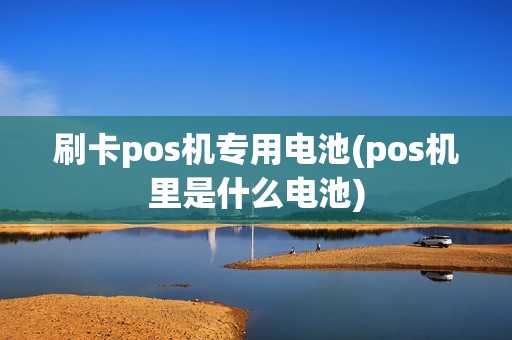 刷卡pos机专用电池(pos机里是什么电池)