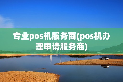 专业pos机服务商(pos机办理申请服务商)