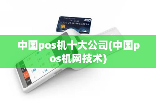 中国pos机十大公司(中国pos机网技术)